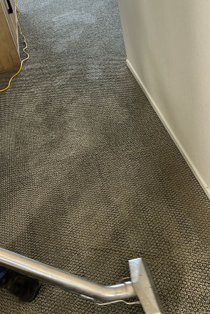 contact about carpet cleaning in arlington upholstery cleaning in arlington contact about carpet cleaning in arlington upholstery cleaning in arlington